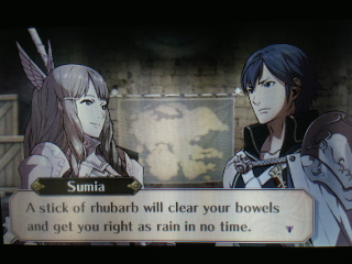 Illustration for article titled This Is What Romance Looks Like In Fire Emblem: Awakening